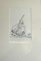 /album/fotogalerij-startpagina/img-2414-jpg/