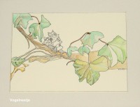 /album/fotogalerij-startpagina/img-2887-jpg1/