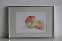 /album/fotogalerij-startpagina/img-1197-jpg/