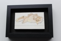 /album/fotogalerij-startpagina/img-1203-jpg/