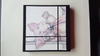 /album/fotogalerij-startpagina/a20190212-162805-jpg/