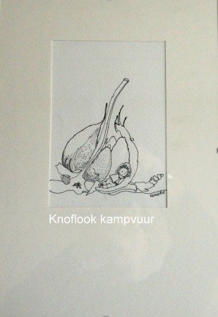 Formaat: 30 x 40 cm.