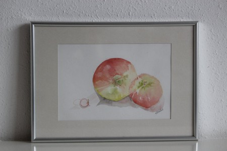 Appel radijs - formaat: 22 x 30 cm